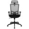 Emma and Oliver Ergonomic Mesh Office Chair-Synchro-Tilt, Pivot Headrest, Adjustable Arms